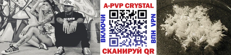 A-PVP СК КРИС  Калач 