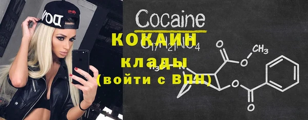 твердый Няндома