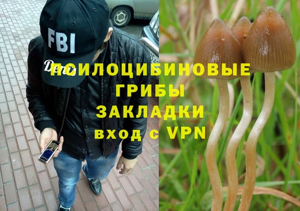 твердый Няндома