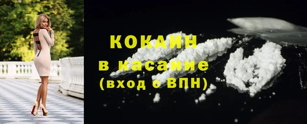 твердый Няндома