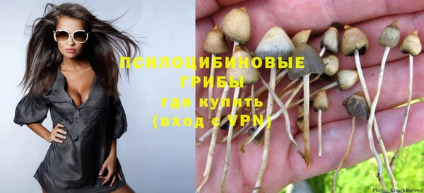 твердый Няндома